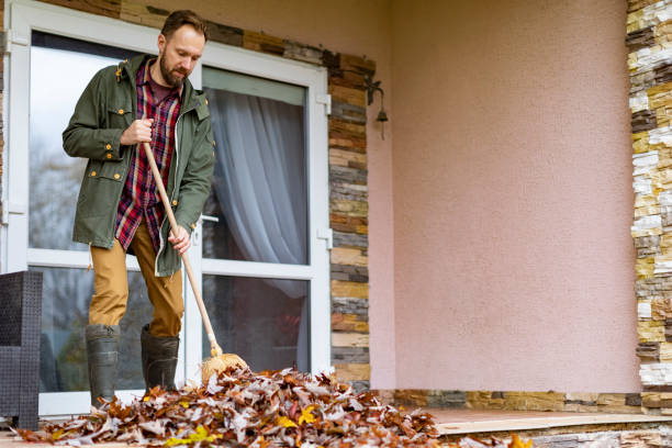 Best Electronics Removal Services  in Mcmechen, WV